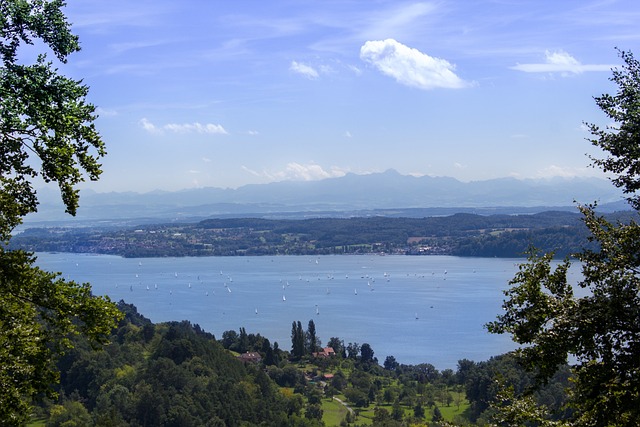 Panorama BLick Bodensee Alpen Pegel