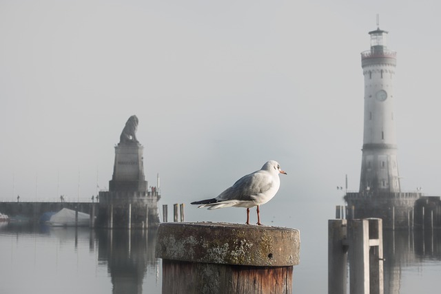 Nebel am Bodensee in Lindau Hafen